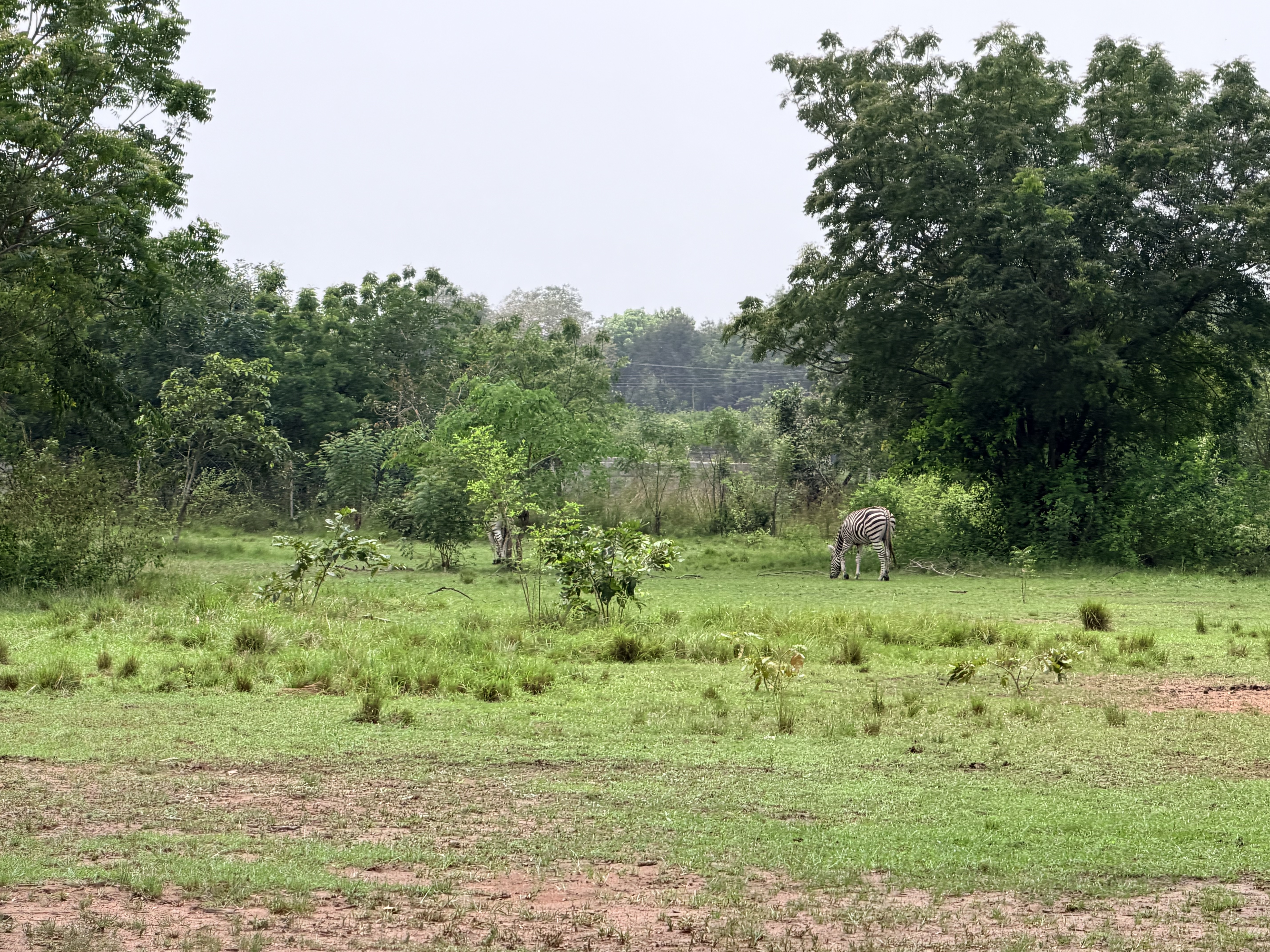 Shai Hills Resource Reserve: Where Wildlife, History and Adventure Meet